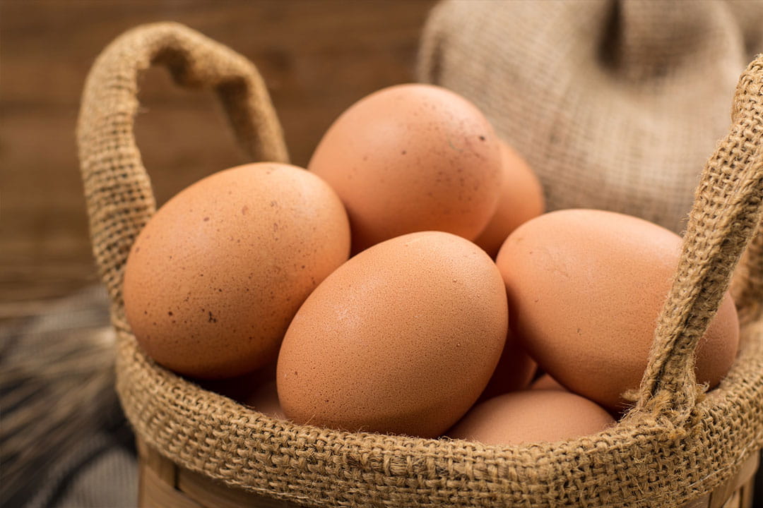 Free Range Eggs